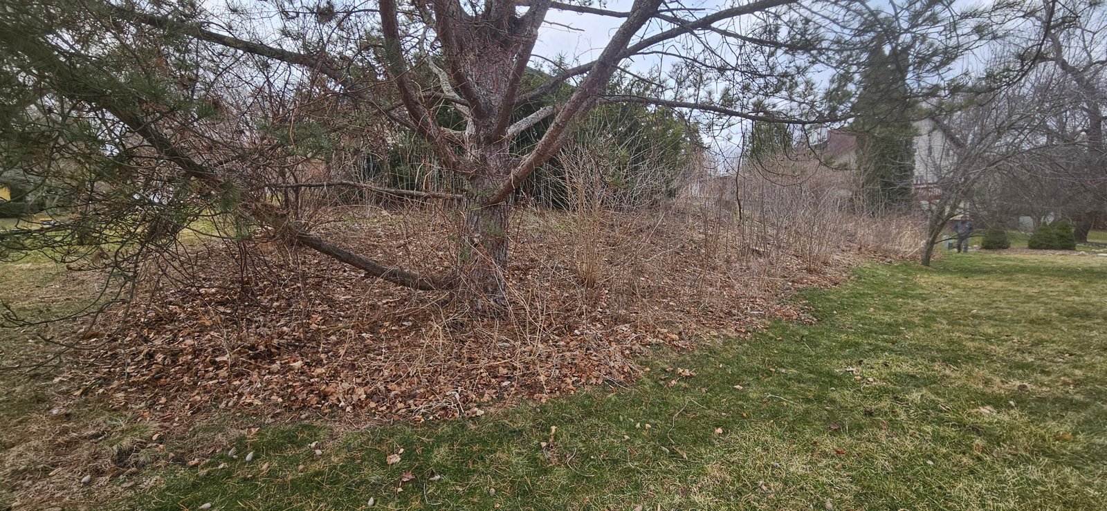 before photo of decorative rock bed installation for a Waukesha County home