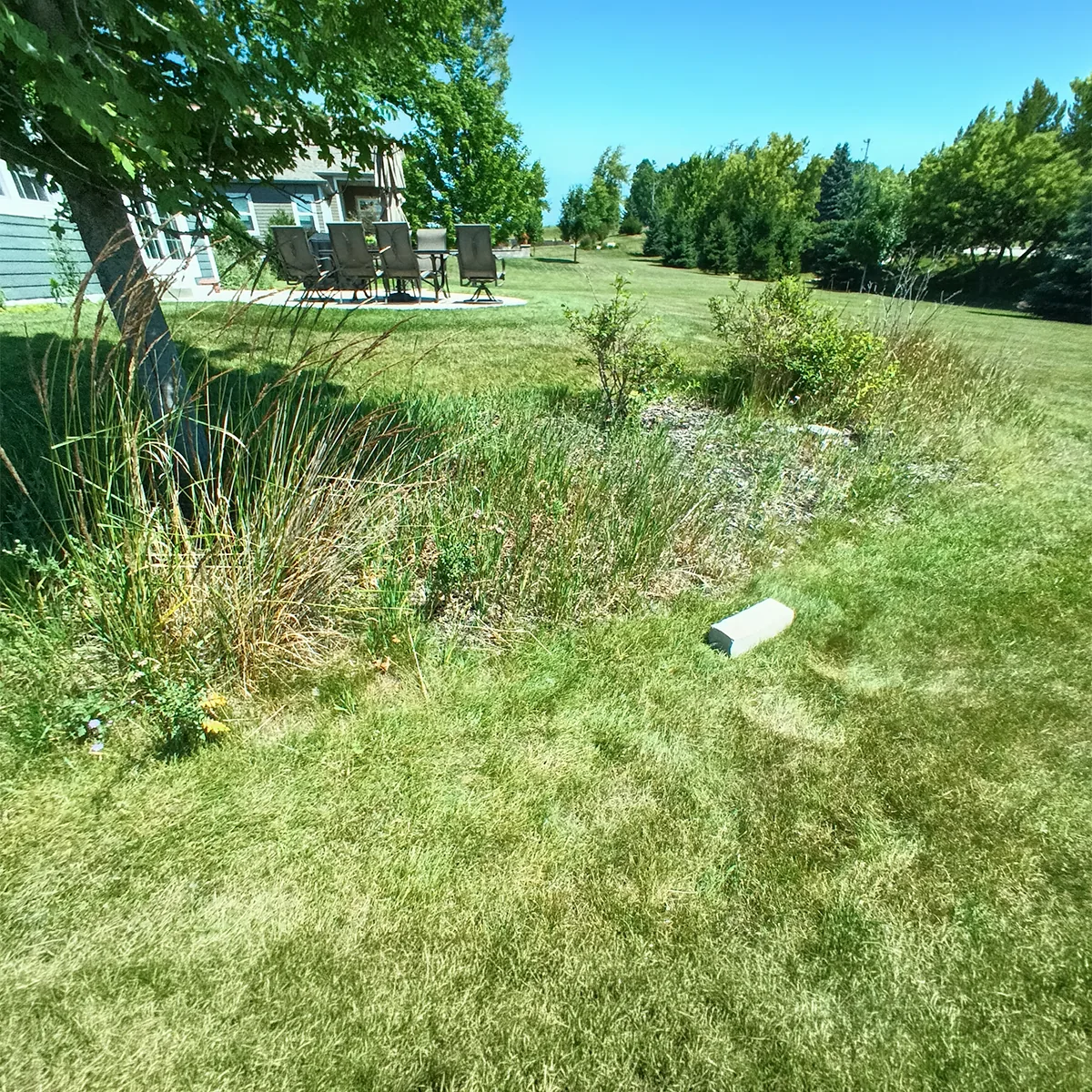Sussex landscape area before decorative rock renovation