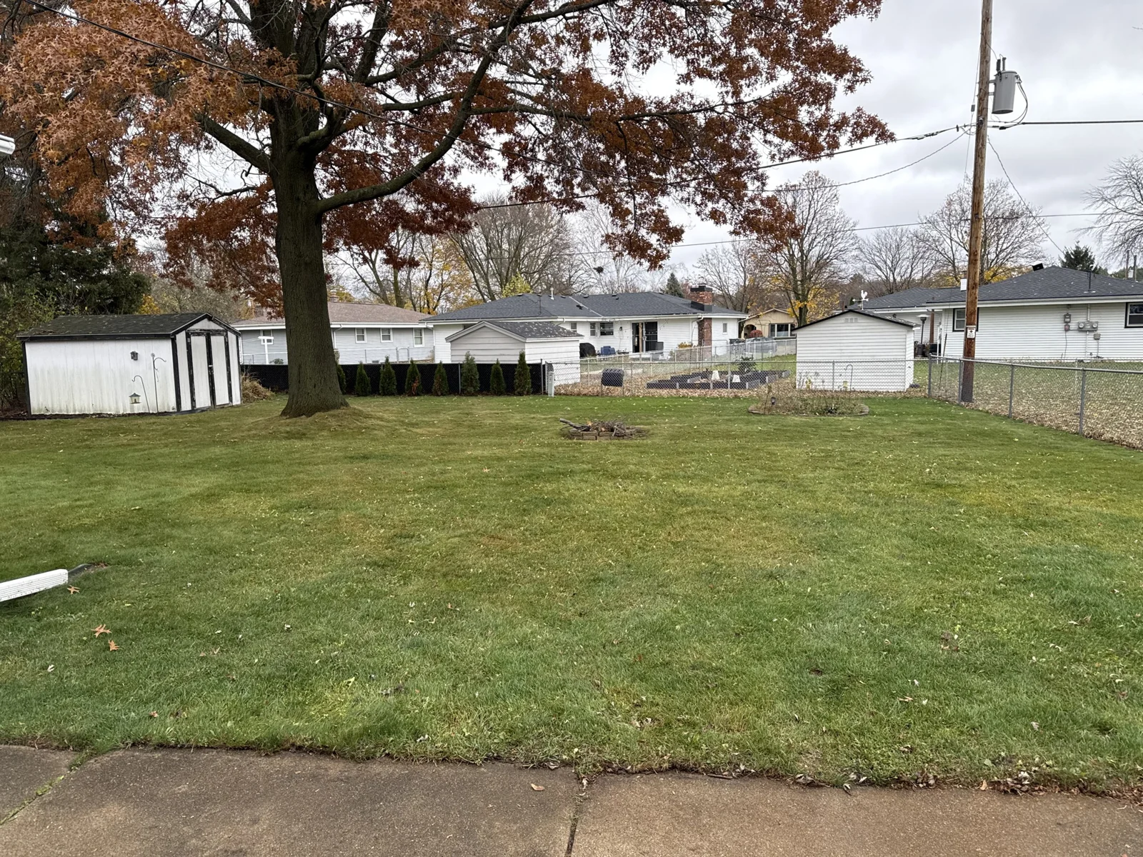 Cleared residential lawn beneath a large tree in autumn