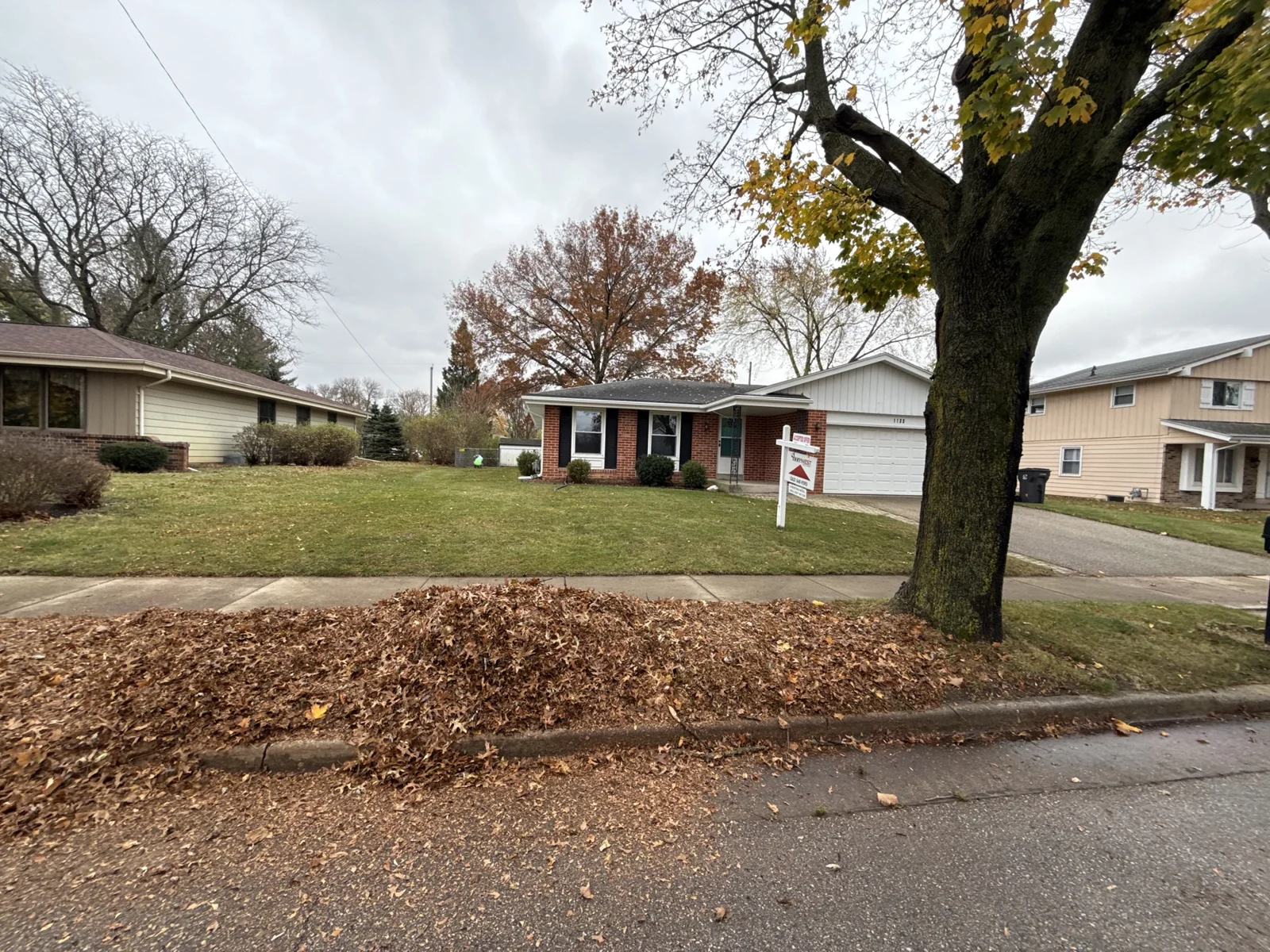 Collected autumn leaves beside a residential lawn, tree, and curb