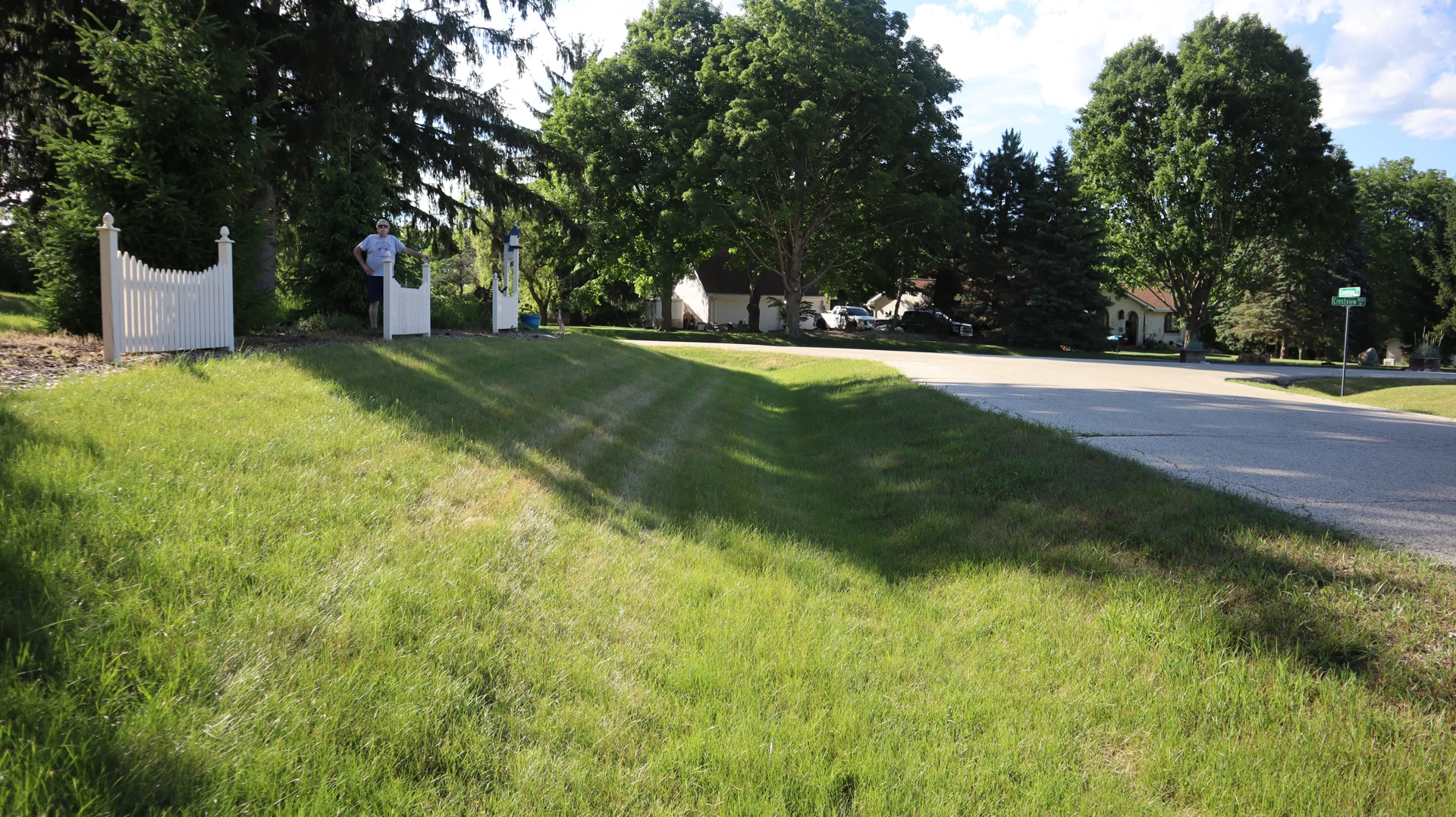 Grass established on a sloped lawn beside a residential street