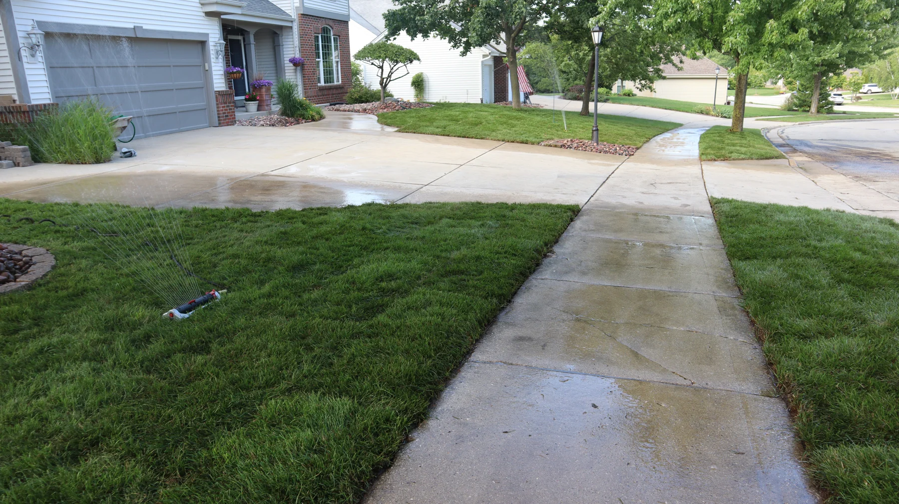 Fresh sod installed beside a front walk with watering underway