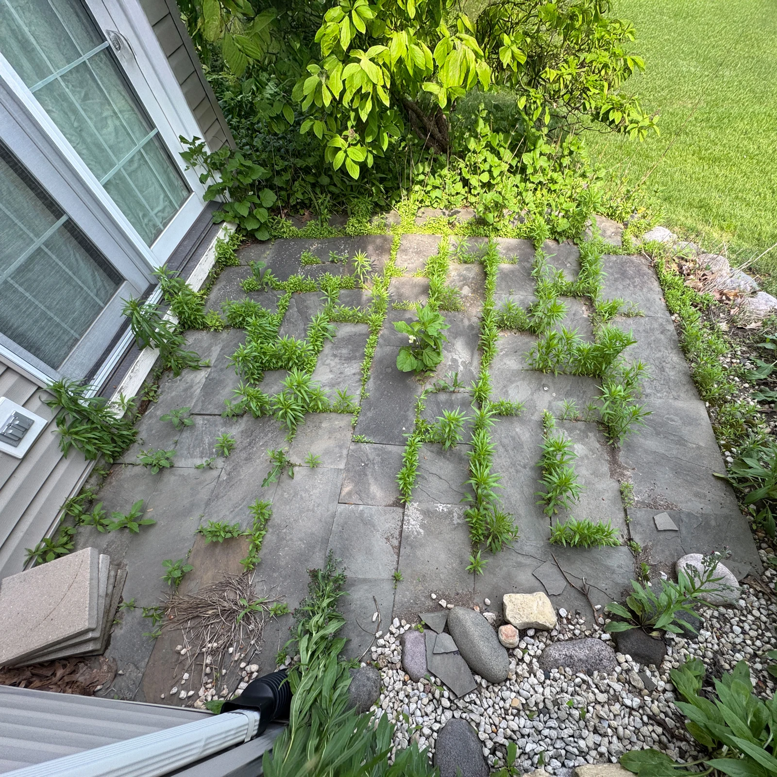 Patio stones with weeds between the joints beside a sliding glass door before restoration