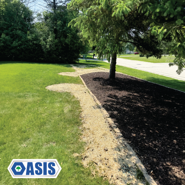 Sod installation and lawn repair project in Waukesha County
