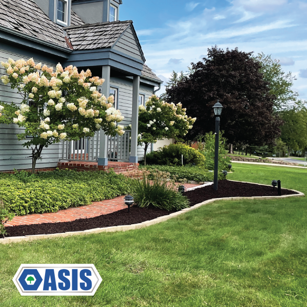 Clean landscape bed edging and mulch installation in Wisconsin