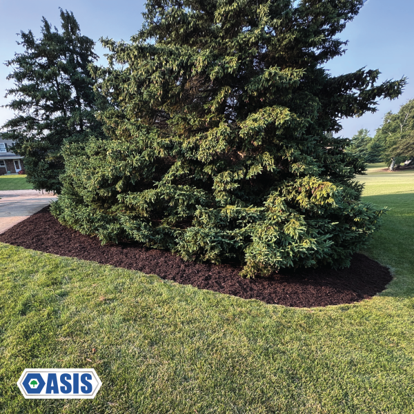 Finished mulch landscape bed project by Oasis Lawncare